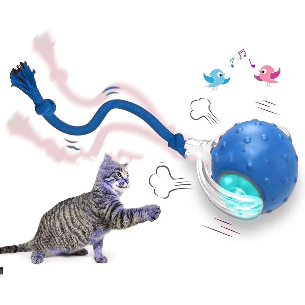 Zoomie Ball: Self-Rolling Interactive Cat Ball with Chirping Sounds