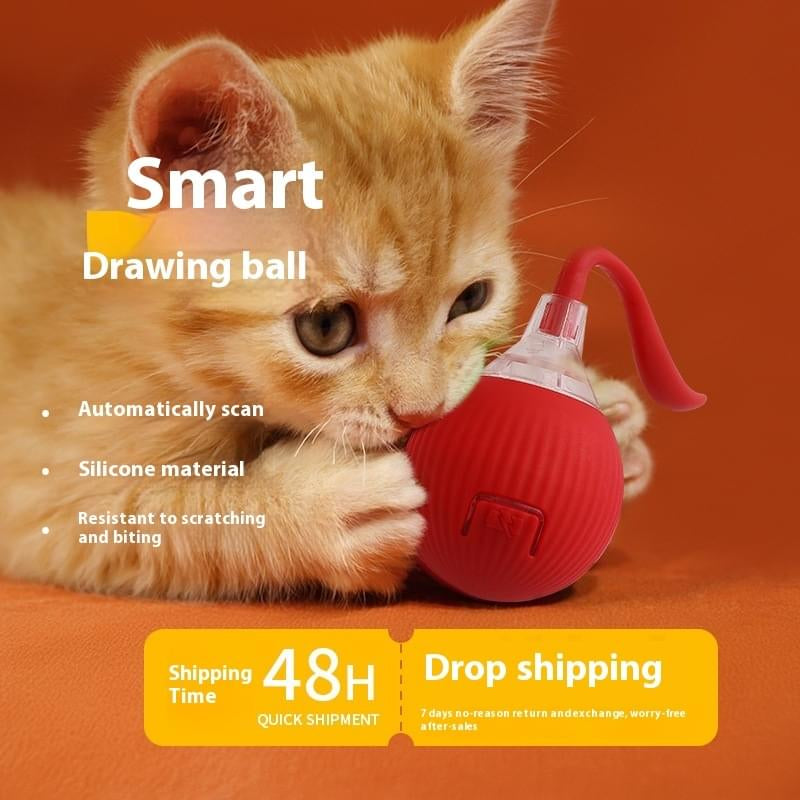 Zoomie Ball: Self-Rolling Interactive Cat Ball with Chirping Sounds