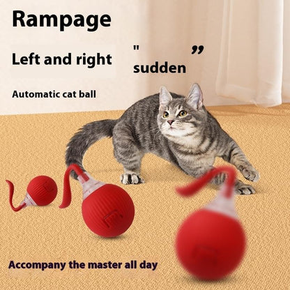 Zoomie Ball: Self-Rolling Interactive Cat Ball with Chirping Sounds