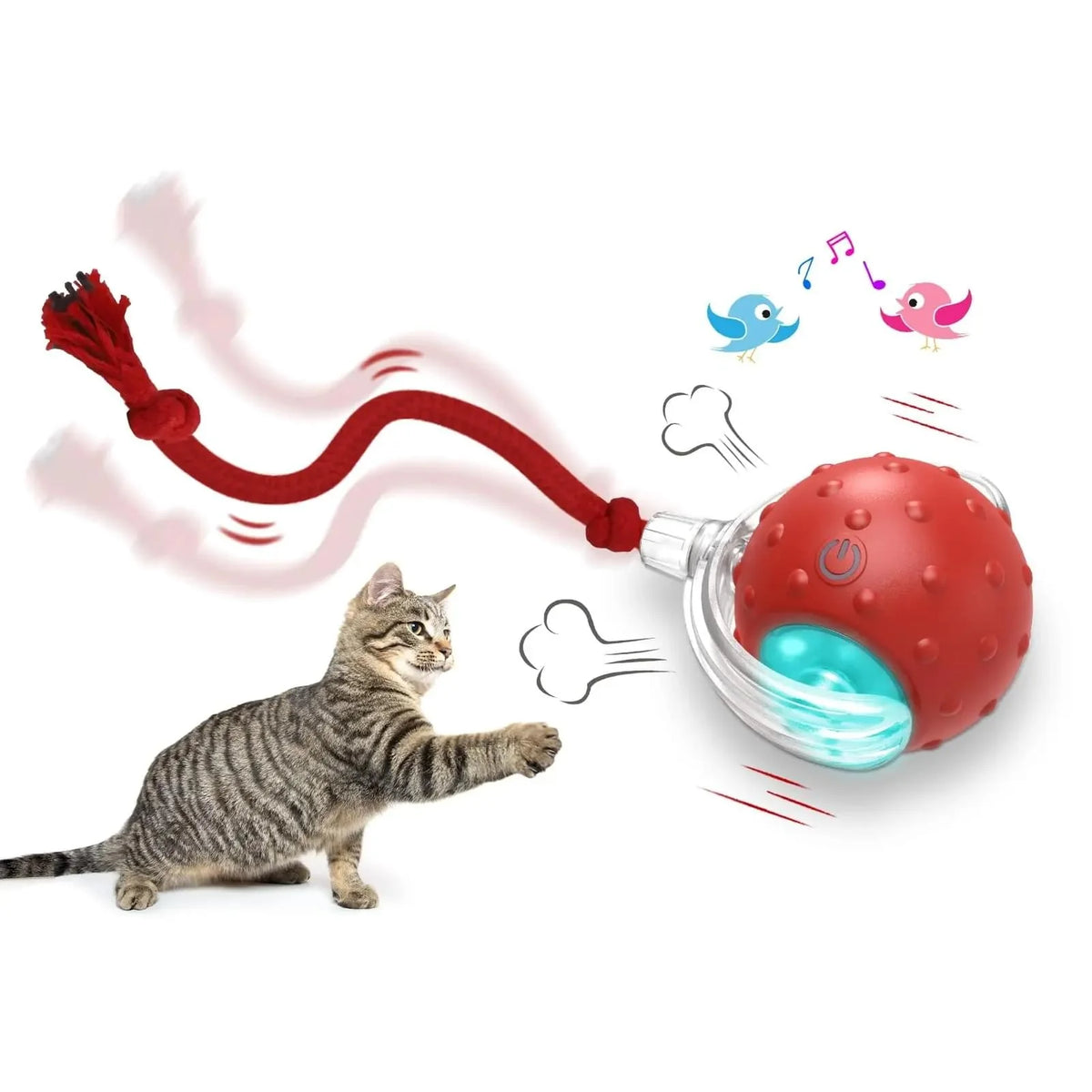 Zoomie Ball: Self-Rolling Interactive Cat Ball with Chirping Sounds