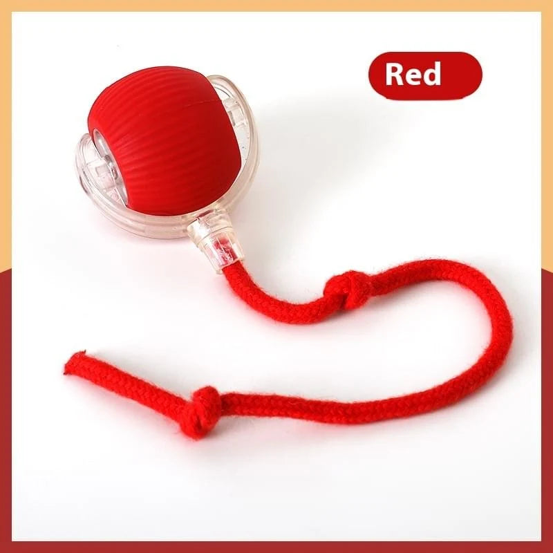 Zoomie Ball: Self-Rolling Interactive Cat Ball with Chirping Sounds